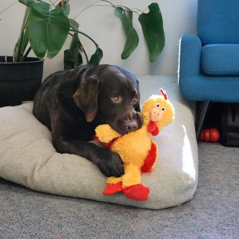 【福爾摩沙寵物精品】美國 KONG 毛絨繩結小雞 狗玩具 寵物玩具 繩結玩具 拉扯玩具-細節圖3