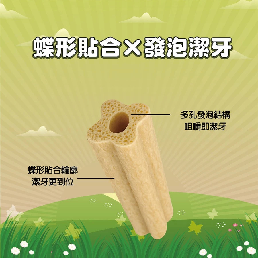 【福爾摩沙寵物精品】X Chew 愛可嚼 蝶形護齒潔牙骨 狗零食 狗潔牙 耐咬-細節圖3