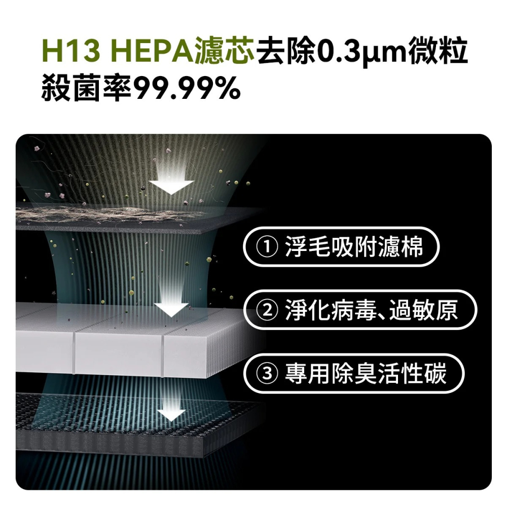 【福爾摩沙寵物精品】Homerunpet 霍曼 寵物空氣清淨機 Airbo Plus-細節圖6