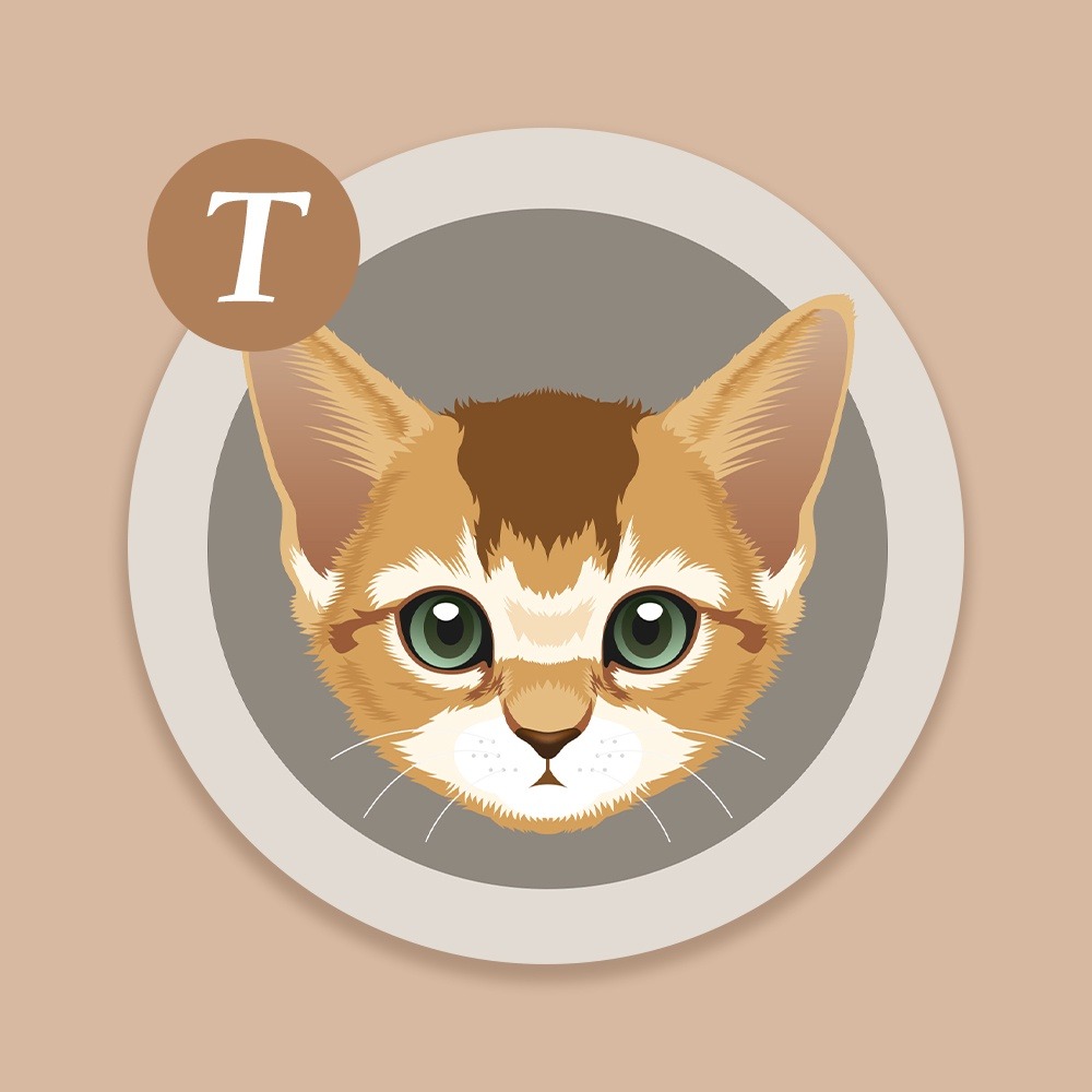 【貓咪控療育小物C】多款貓咪陶瓷吸水杯墊 台灣製造 鶯歌陶瓷 交換禮物 聖誕禮物 尾牙禮品-細節圖2