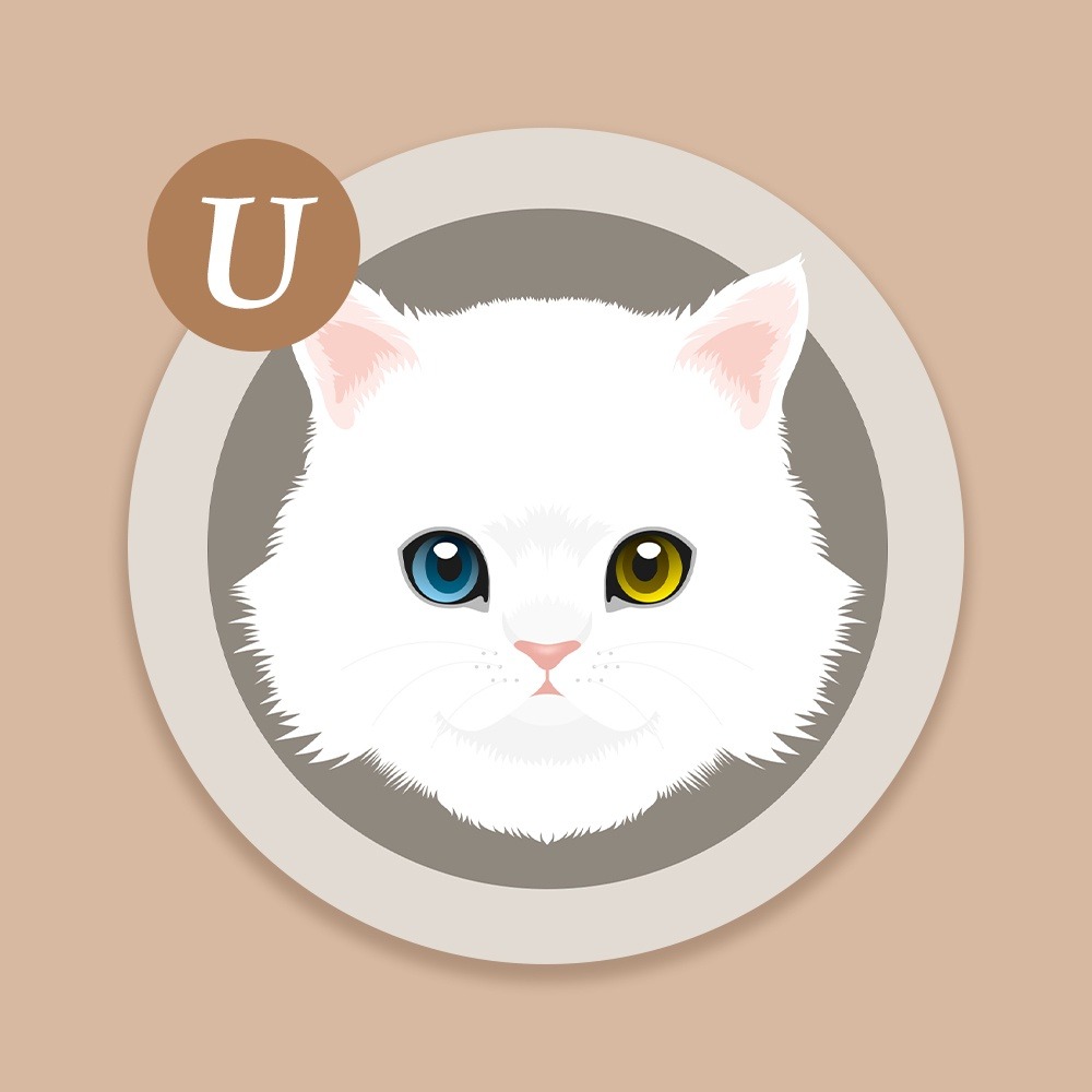 【貓咪控療育小物C】多款貓咪陶瓷吸水杯墊 台灣製造 鶯歌陶瓷 交換禮物 聖誕禮物 尾牙禮品-細節圖3