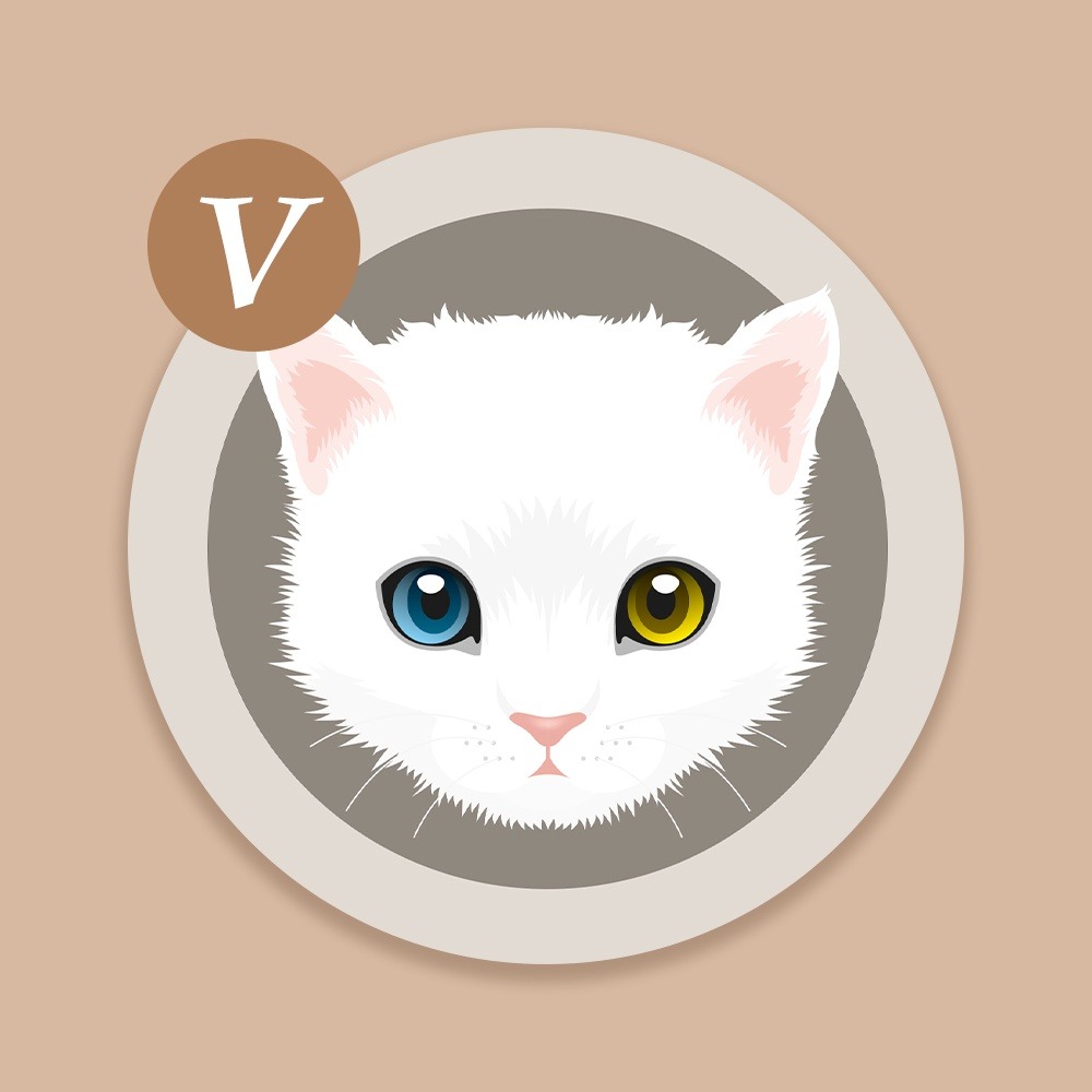 【貓咪控療育小物C】多款貓咪陶瓷吸水杯墊 台灣製造 鶯歌陶瓷 交換禮物 聖誕禮物 尾牙禮品-細節圖4