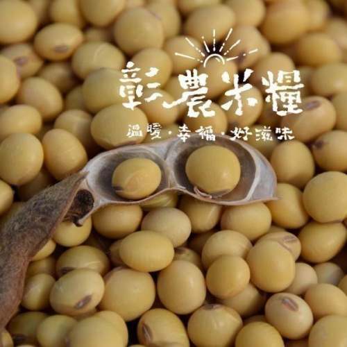 【彰農米糧】【有機】有機台灣黃豆-高雄選十號 500公克