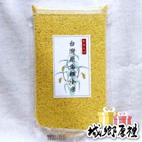 【彰農米糧】台灣原生糯小米 250公克
