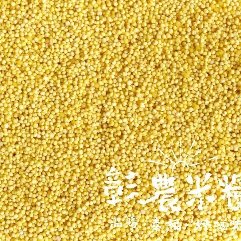 【彰農米糧】台灣原生糯小米 250公克(預計2025.3.7開始出貨)-細節圖3