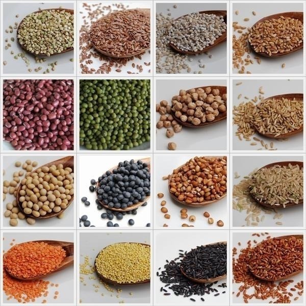 有機十六穀米-多穀物米漿配方  500公克-細節圖2