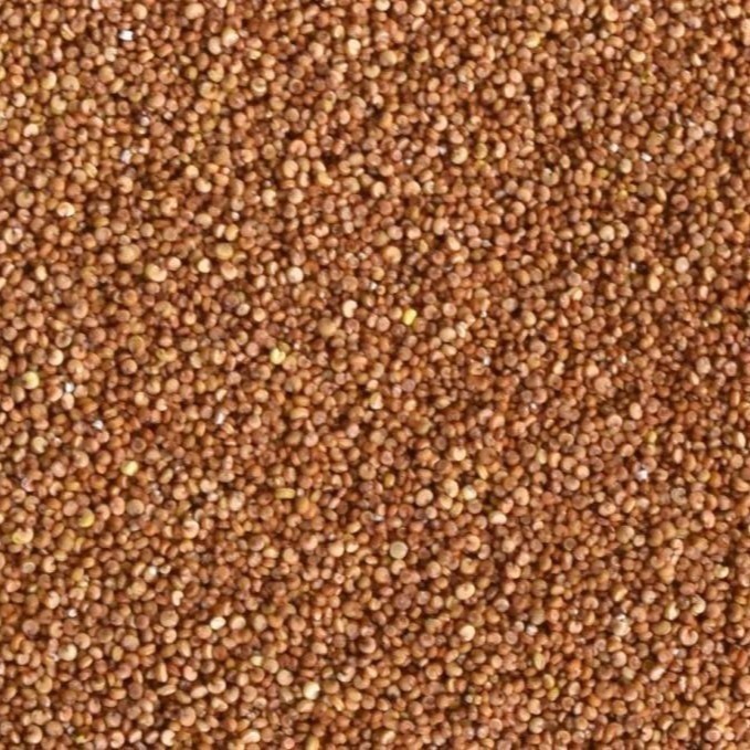 【彰農米糧】台灣原生紅藜-已脫殼 250 公克-細節圖4