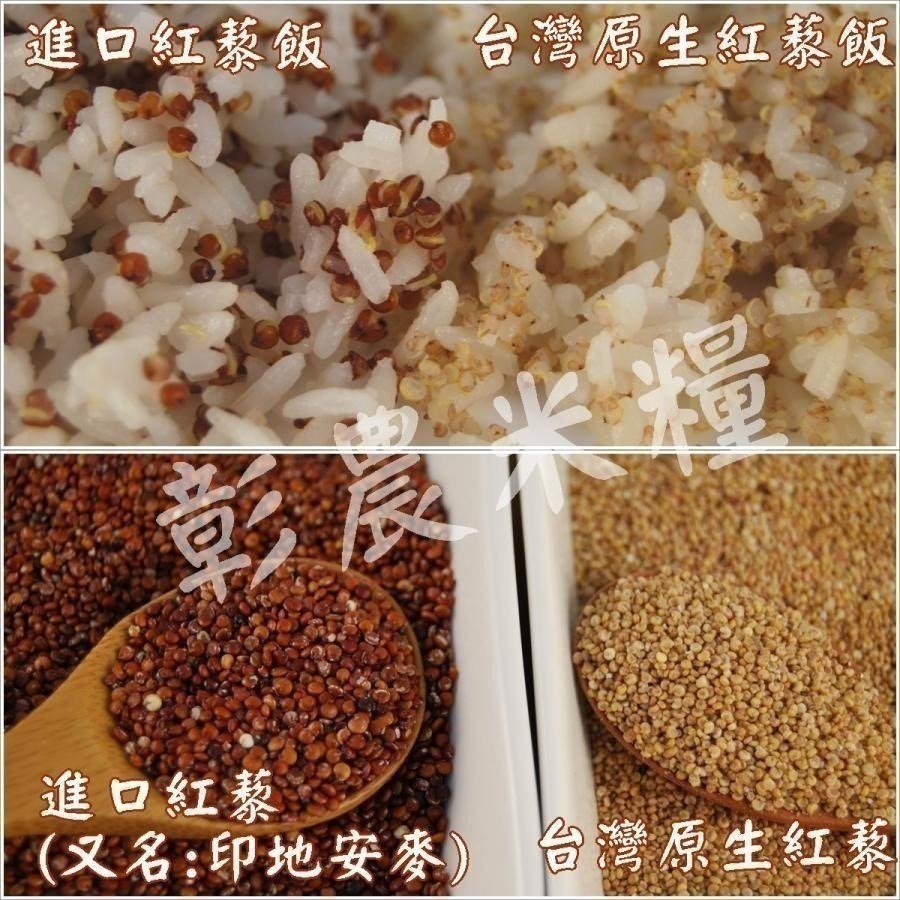 台灣原生紅藜-已脫殼 250 公克-細節圖7