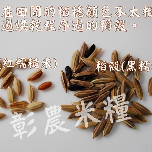 【彰農米糧】黑糯米-細節圖4