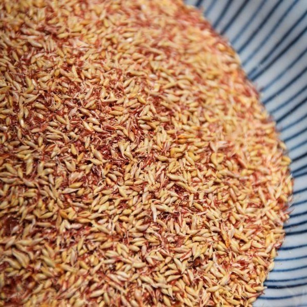 【彰農米糧】台灣高山愛玉子6入組-細節圖4