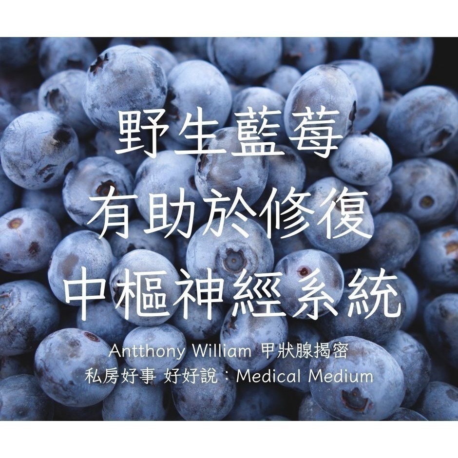 加拿大 野生藍莓-細節圖6