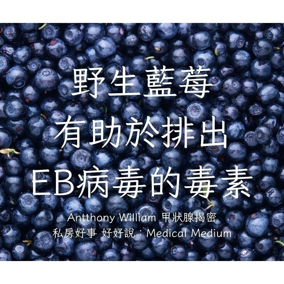 加拿大 野生藍莓-細節圖7