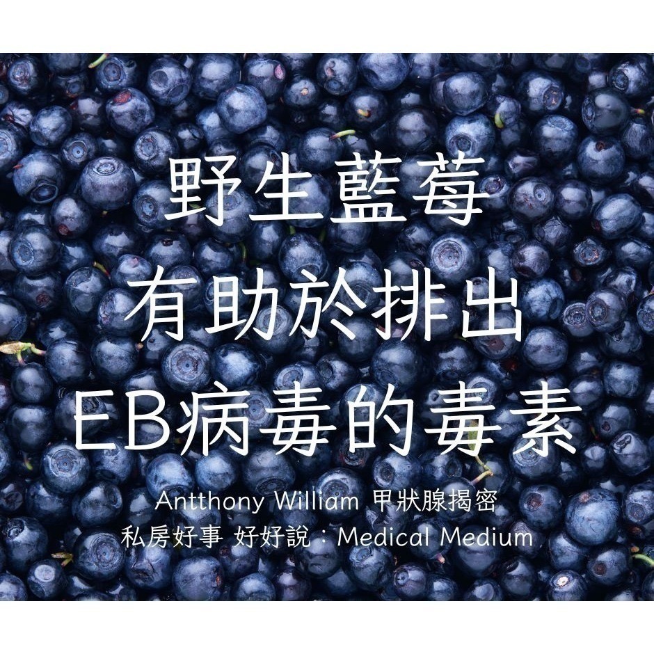 加拿大 野生藍莓-細節圖7