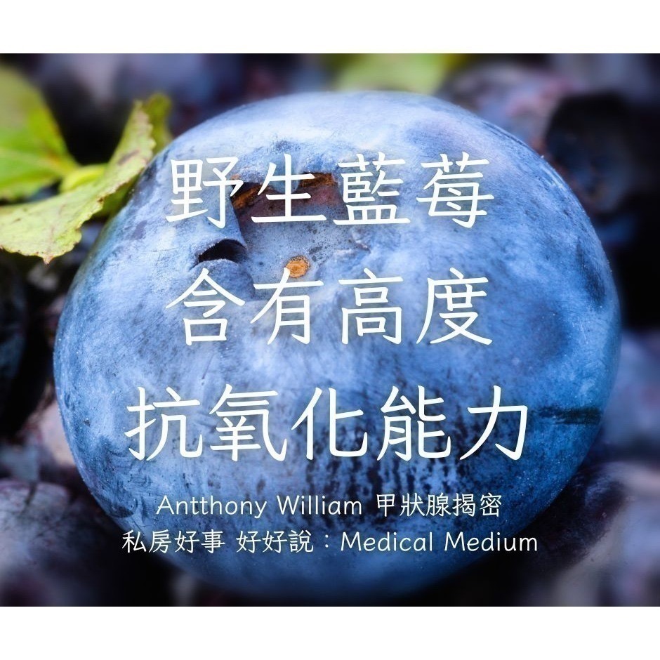 加拿大 野生藍莓-細節圖2