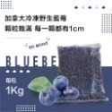 加拿大 野生藍莓-規格圖5