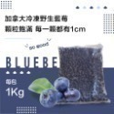 加拿大 野生藍莓-規格圖11