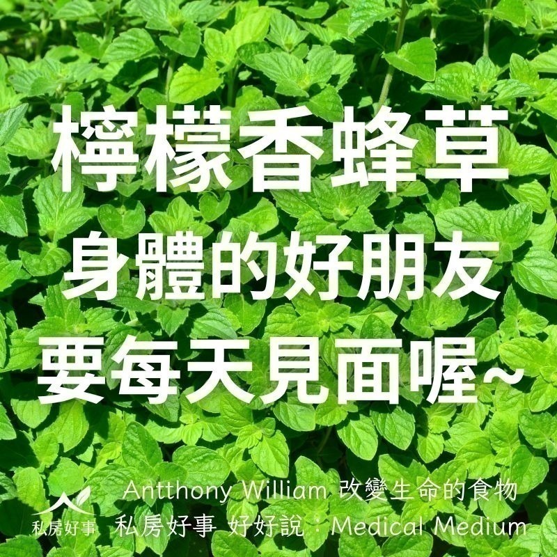 私房好事-檸檬香蜂草茶(20入/盒)-細節圖6