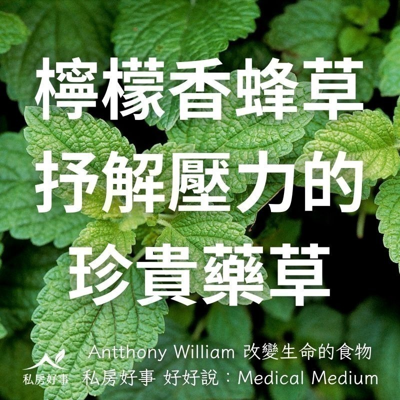 私房好事-檸檬香蜂草茶(20入/盒)-細節圖2