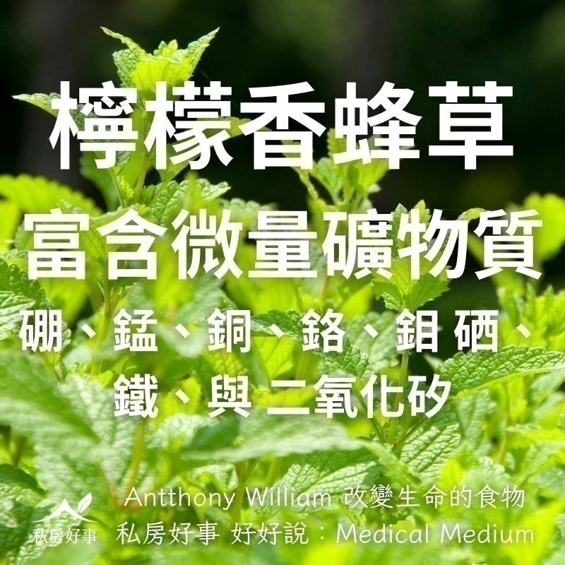 私房好事-檸檬香蜂草茶(20入/盒)-細節圖8