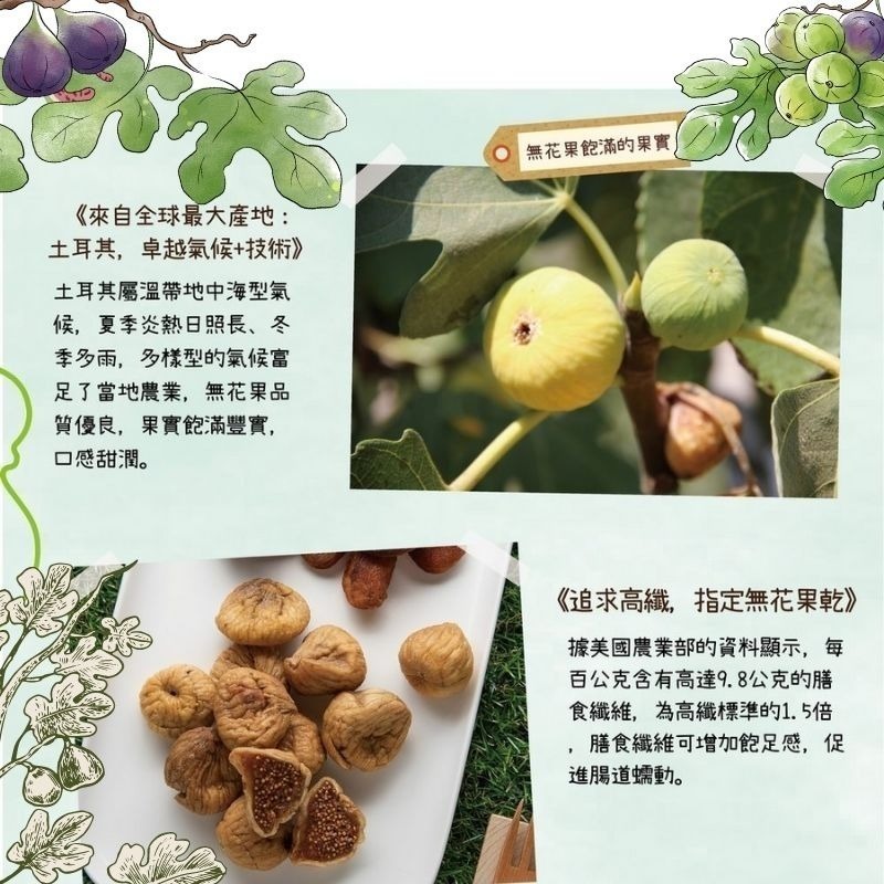 統一生機-土耳其無花果乾200G-細節圖4