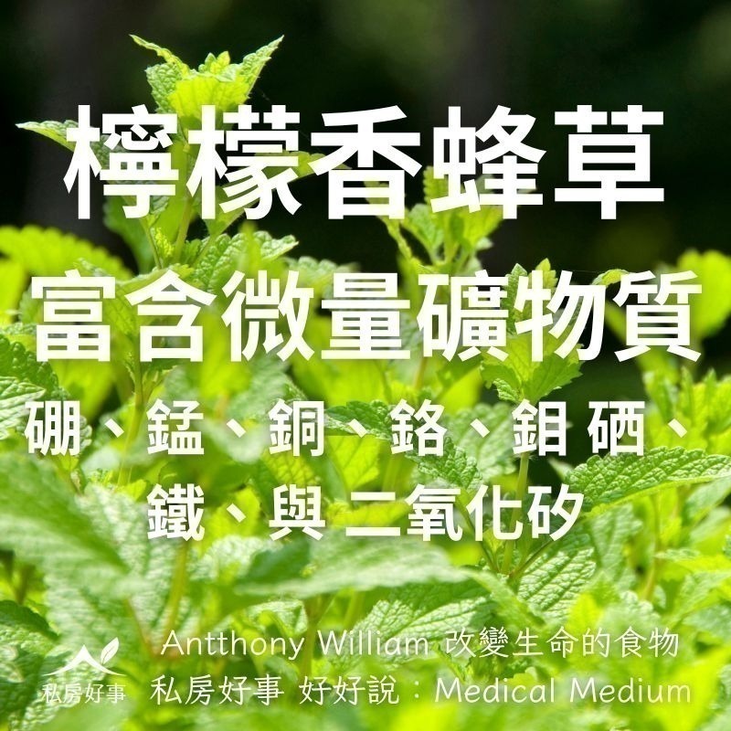私房好事-甜菊檸檬香蜂草茶(20人/盒)-細節圖2