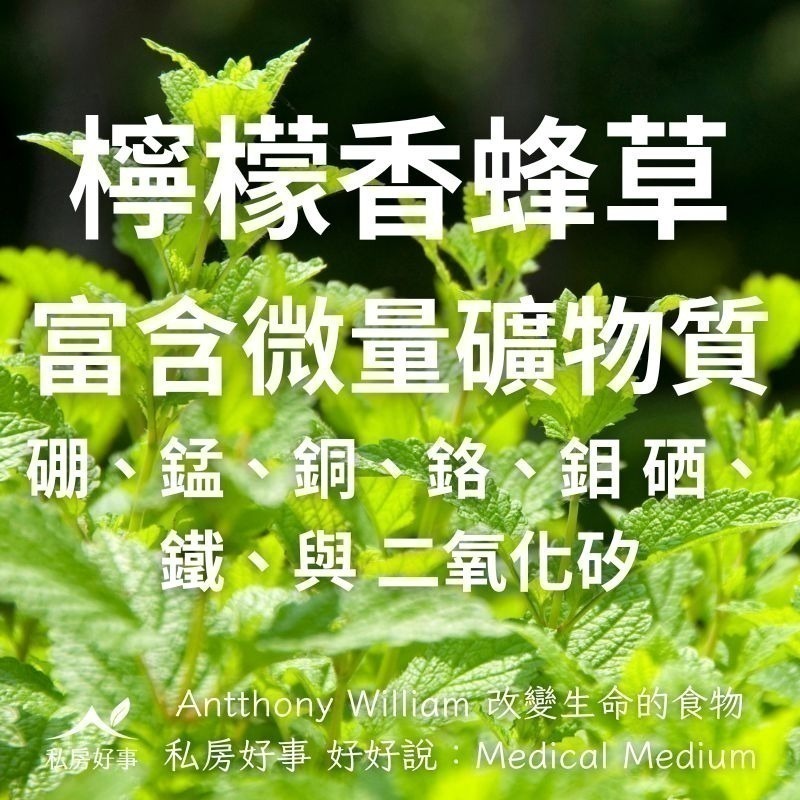 私房好事-甜菊檸檬香蜂草茶(20人/盒)-細節圖2