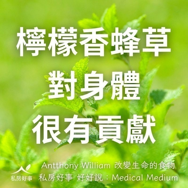 私房好事-甜菊檸檬香蜂草茶(20人/盒)-細節圖4
