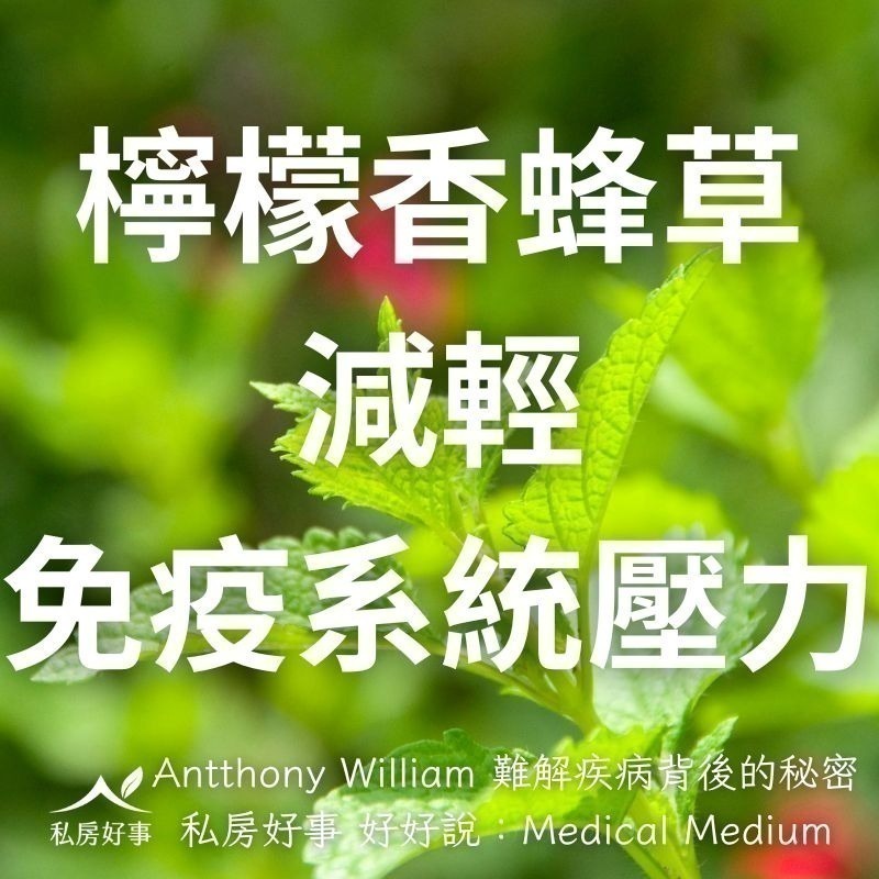 私房好事-甜菊檸檬香蜂草茶(20人/盒)-細節圖7