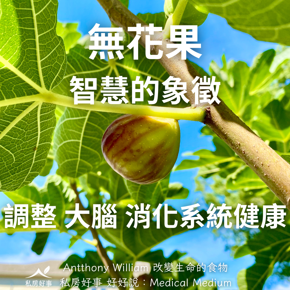 台灣無花果-友善農法種植-超好吃-細節圖10