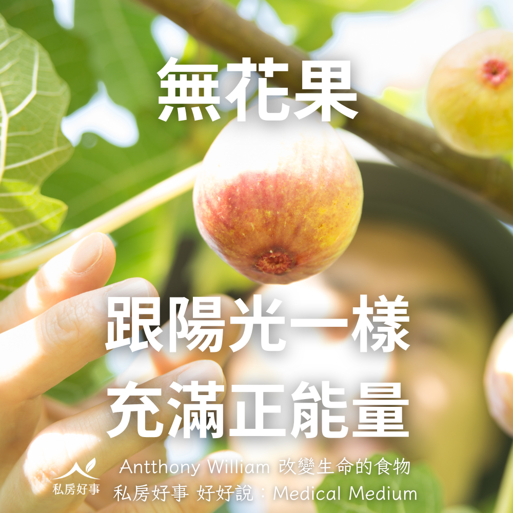台灣無花果-友善農法種植-超好吃-細節圖3