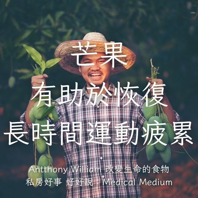 私房好事-加拿大野生藍莓+台灣愛文芒果 組合(1/2後出貨)-細節圖8