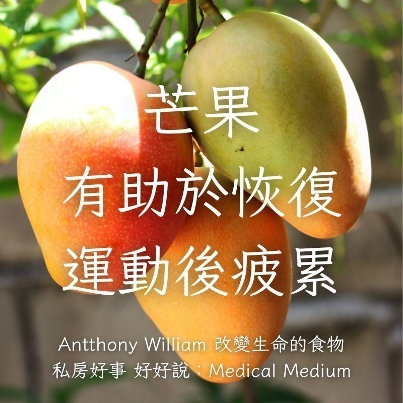 台灣 愛文芒果-細節圖9