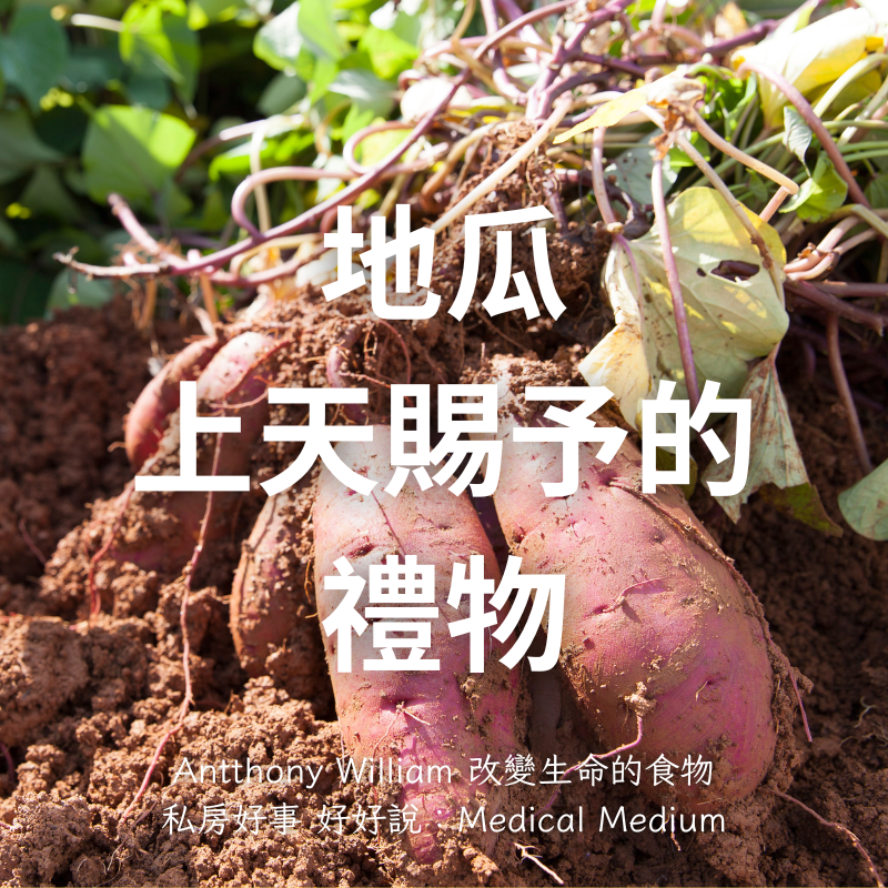台灣 冰烤蕃薯 1公斤/家庭包-細節圖5
