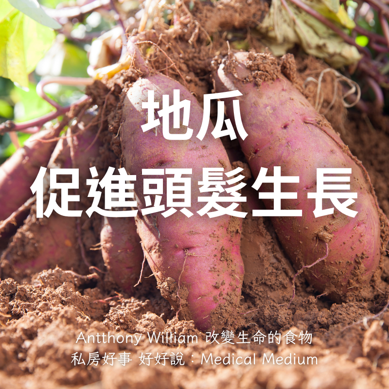台灣 冰烤蕃薯 1公斤/家庭包-細節圖6