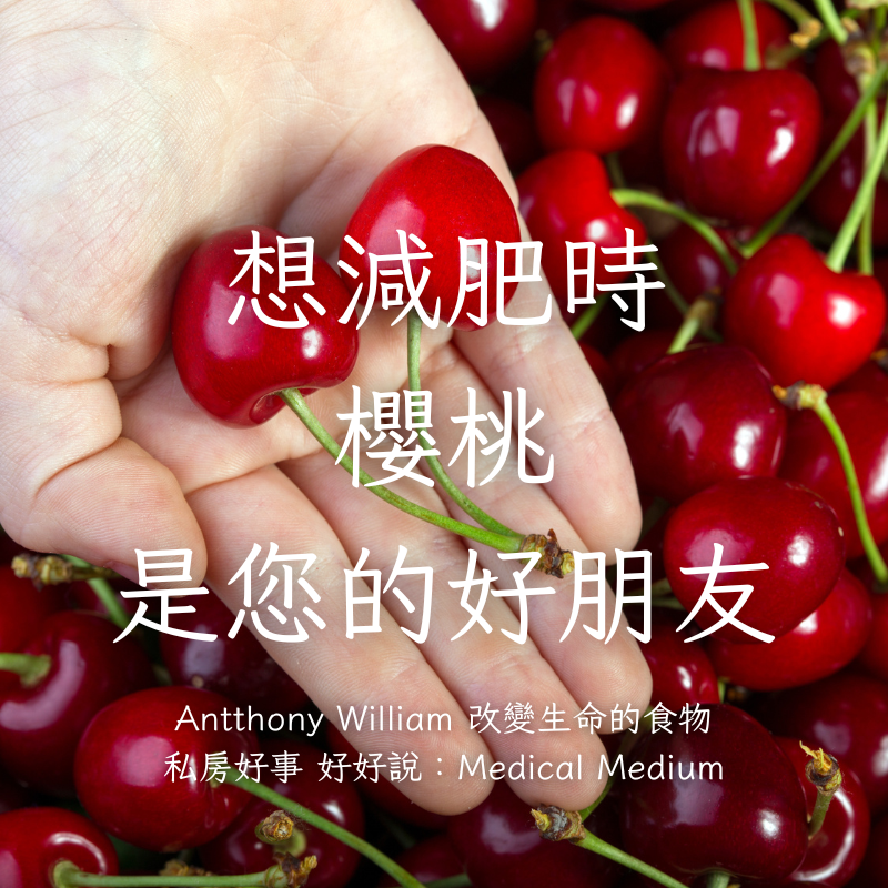 荷蘭紅櫻桃（去籽酸櫻桃）-細節圖4