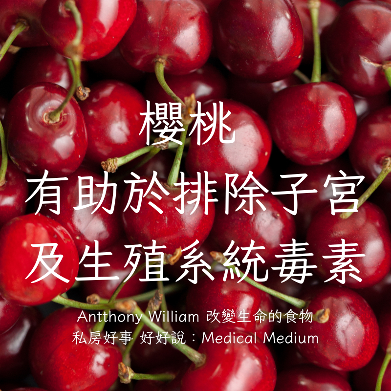 荷蘭紅櫻桃（去籽酸櫻桃）-細節圖5