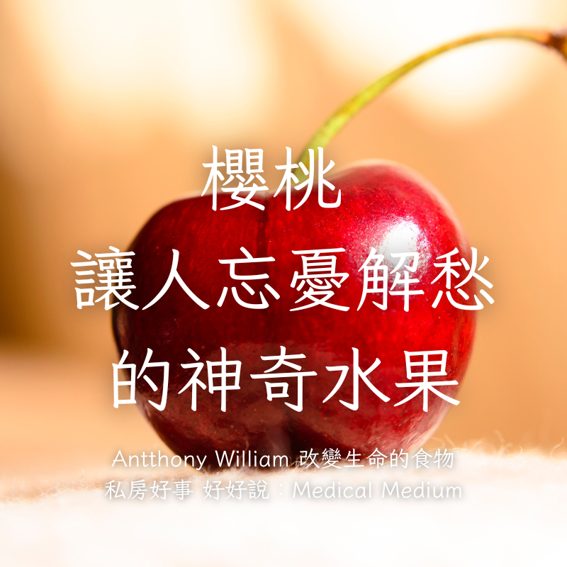 荷蘭紅櫻桃（去籽酸櫻桃）-細節圖7