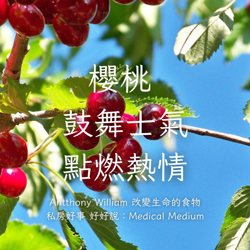 荷蘭紅櫻桃（去籽酸櫻桃）-細節圖8