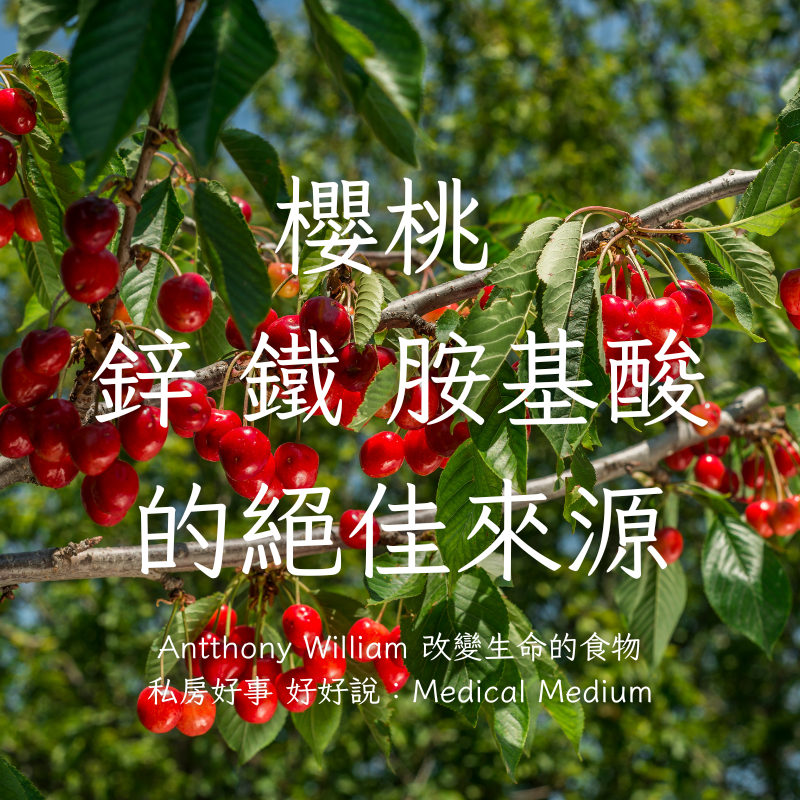 荷蘭紅櫻桃（去籽酸櫻桃）-細節圖9