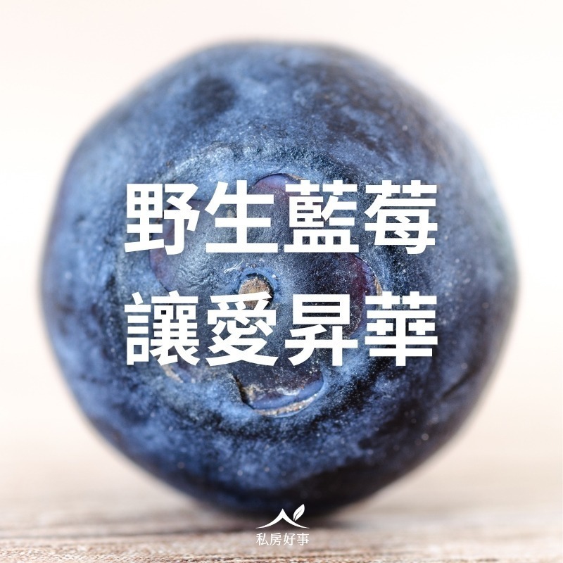 綜合莓果(野生藍莓、蔓越莓、草莓)-細節圖3