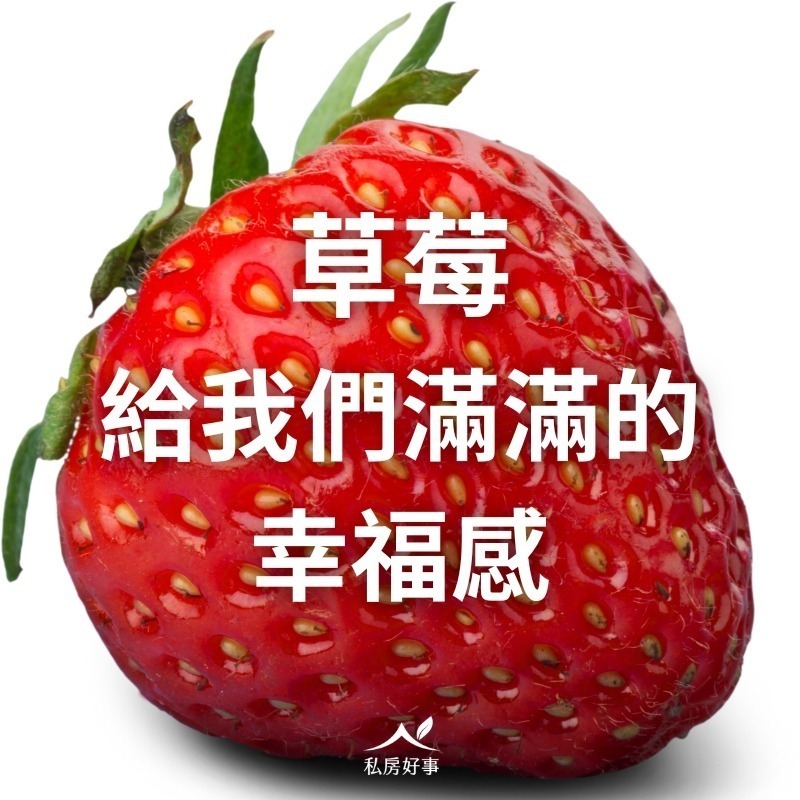 綜合莓果(野生藍莓、蔓越莓、草莓)-細節圖4