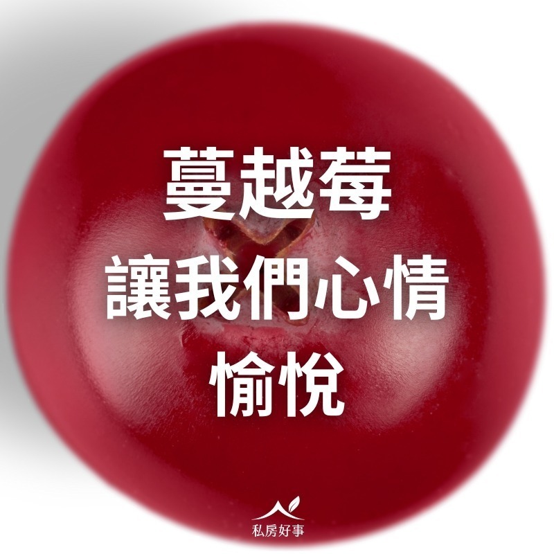 綜合莓果(野生藍莓、蔓越莓、草莓)-細節圖5