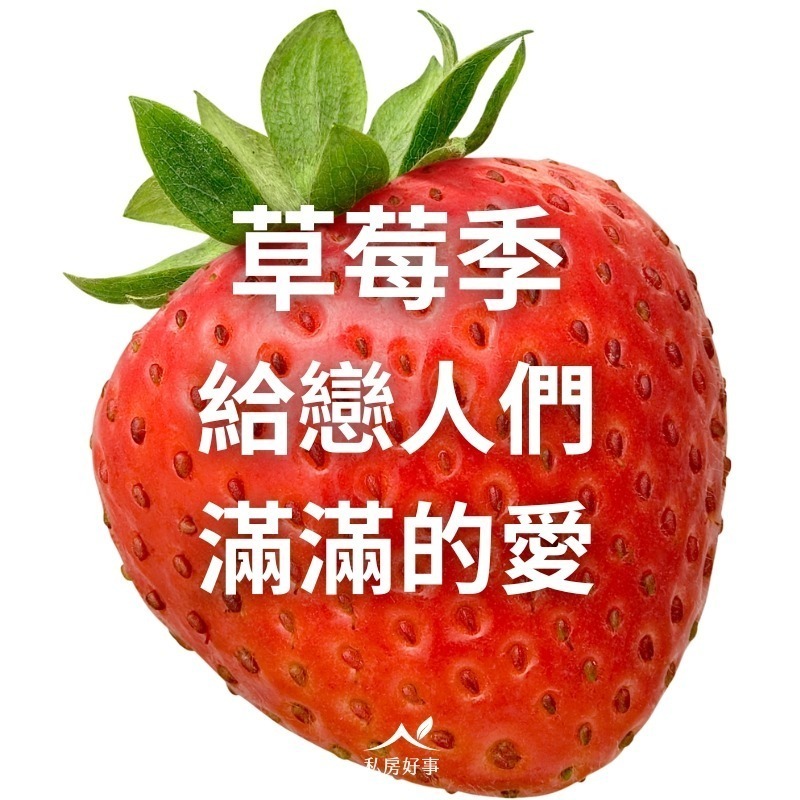 綜合莓果(野生藍莓、蔓越莓、草莓)-細節圖7