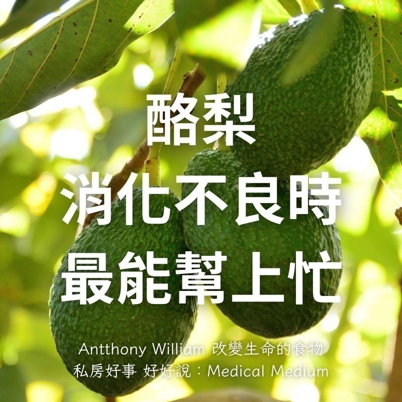 台灣 酪梨-細節圖2