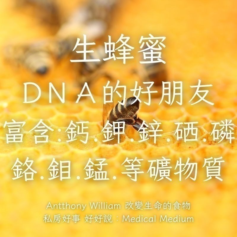台灣生蜂蜜（封蓋蜜）-荔枝蜜-細節圖7