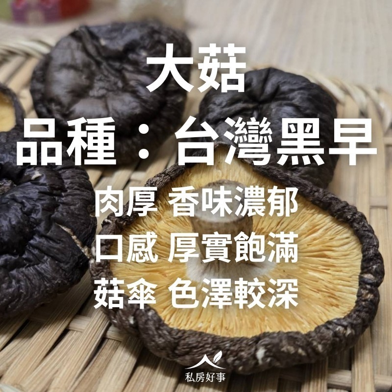 台灣 乾香菇（黑早）—大型香菇-細節圖3
