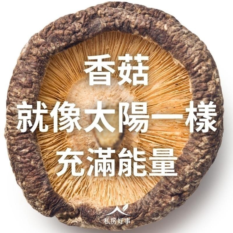 台灣 乾香菇（黑早）—大型香菇-細節圖8