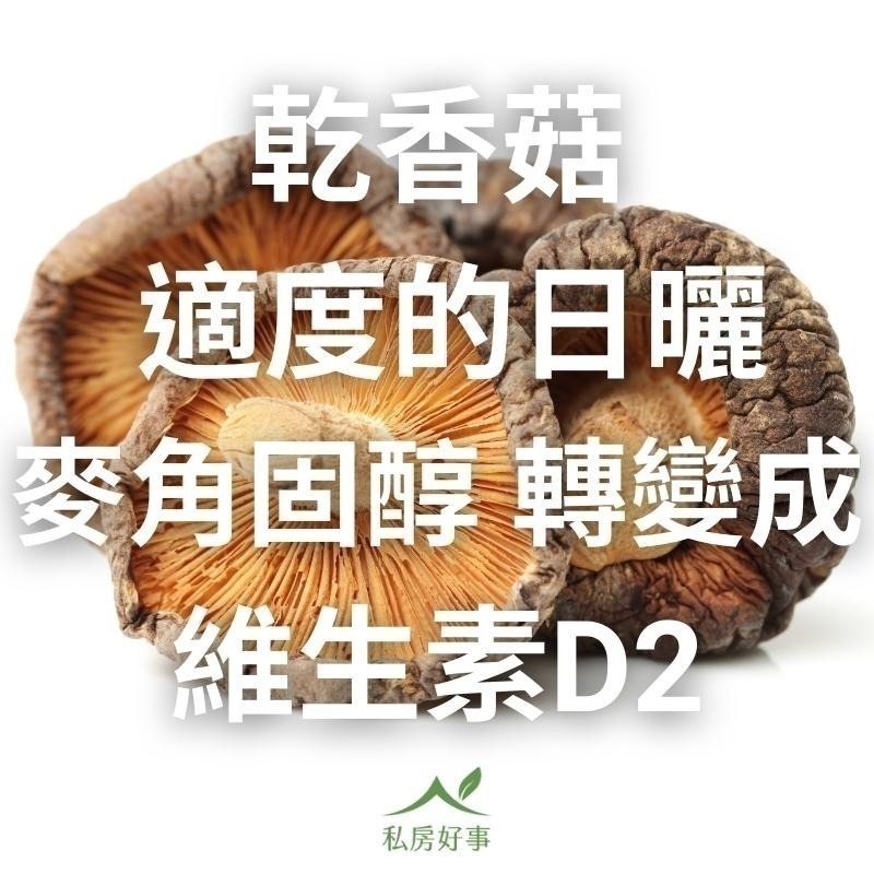 台灣 乾香菇（黑早）—大型香菇-細節圖9