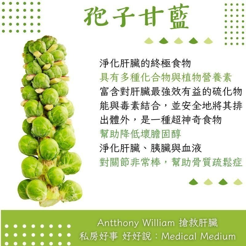 荷蘭 孢子甘藍-細節圖2