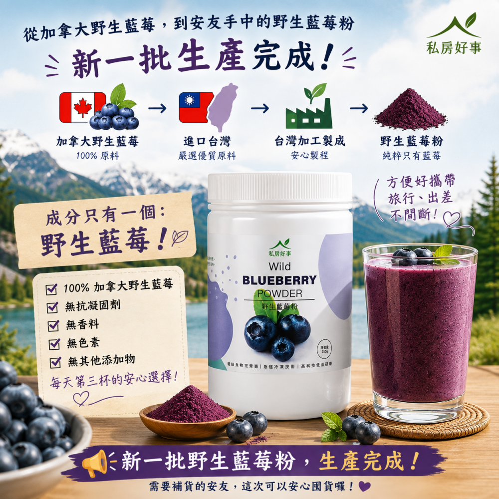 加拿大野生藍莓粉 （無抗結塊劑）-細節圖7